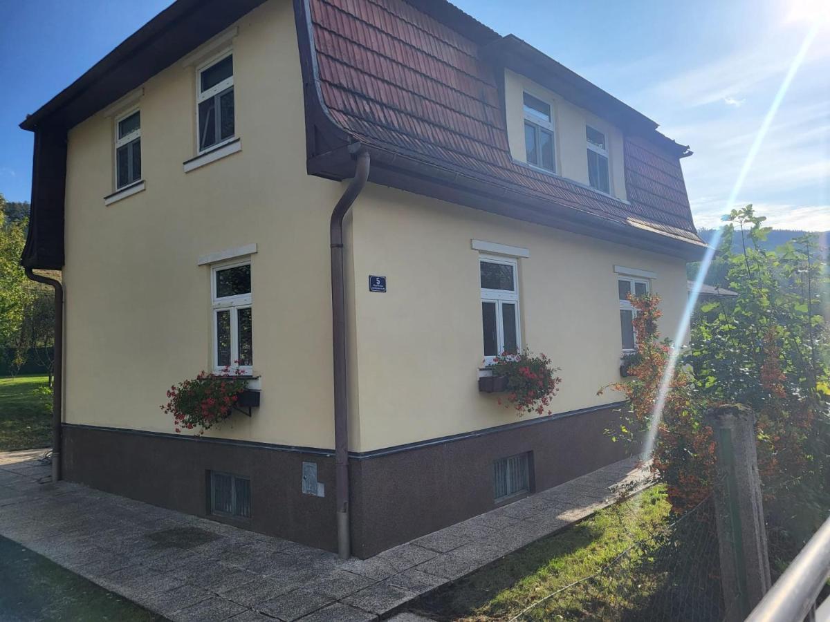 Ferienwohnung Mostheuriger Leo-Hof Eva Reichenau Ngoại thất bức ảnh
